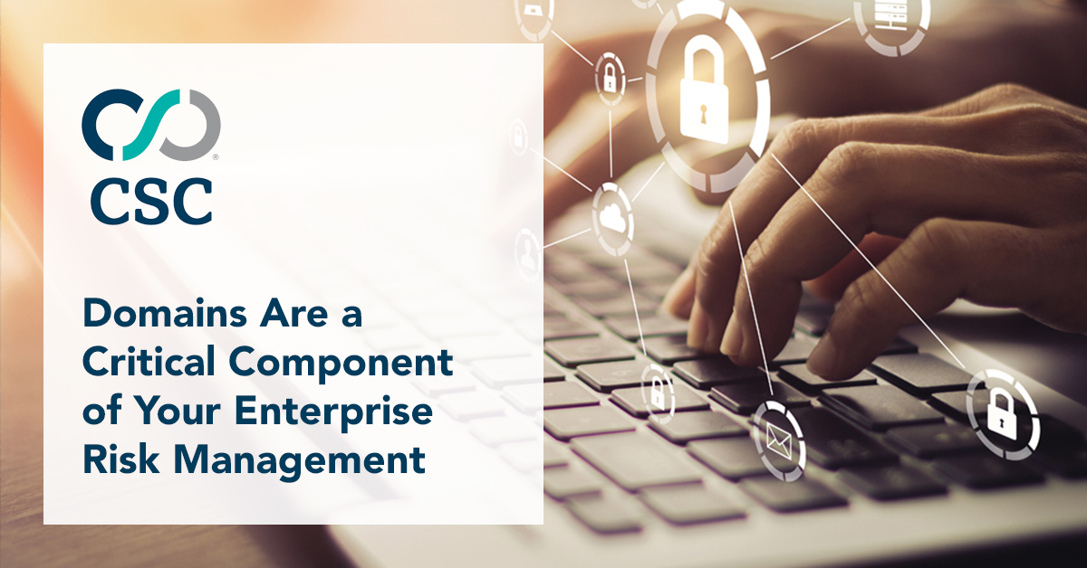 Domains Are a Critical Component of Your Enterprise Risk Management CSC