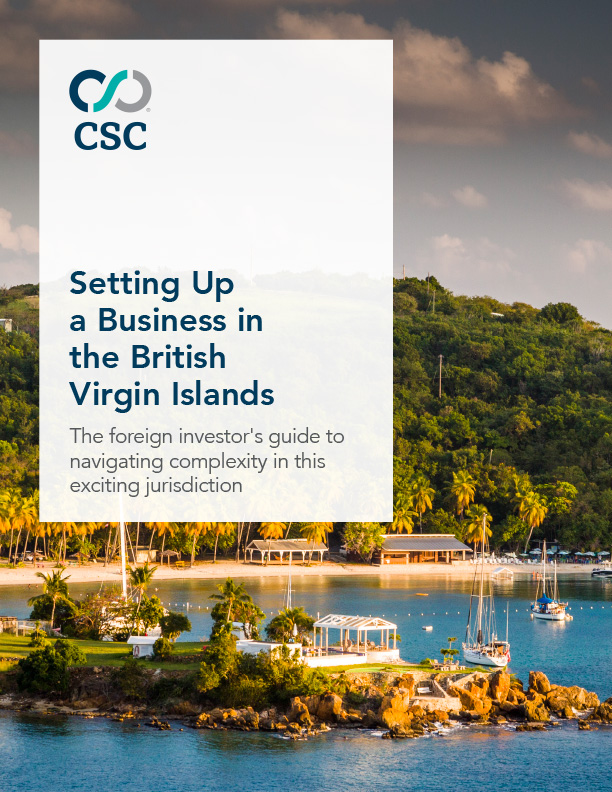 Setting Up a Business in BVI